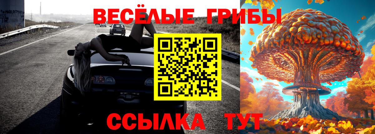 Корсаков  Псилоцибиновые грибы мухоморы  Вход с VPN 